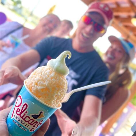 pelican shaved ice franchise